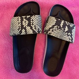 Vince slides, animal print